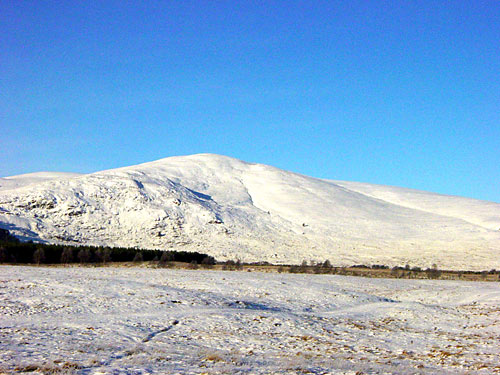 Kincraig2