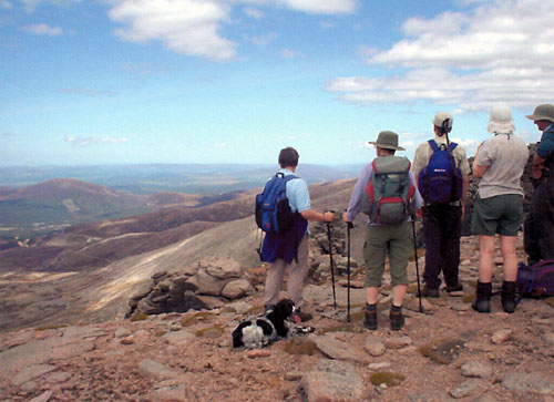 northerncorries