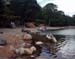 greenlochan