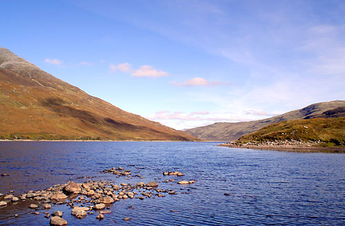 DSC00664