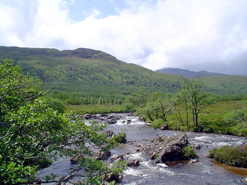 DSC01425