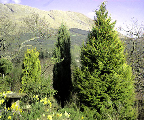 ballachulish16