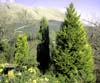 ballachulish16