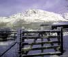 sneeuw28
